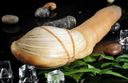 Live Californian Geoduck 正加州象拔蚌 (Seasonal) | Live Seafood Singapore | Avant Marketplace