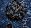 Live & Fresh Oysters Wholesale Supplies in Singapore - Avant Boutique Oyster Supplier in Singapore