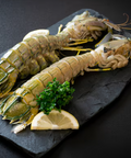 Live Indonesia Mantis Prawn | Seasonal Shellfish | Avant Seafood Marketplace 印尼皮皮虾