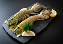 Live Indonesia Mantis Prawn | Seasonal Shellfish | Avant Seafood Marketplace 印尼皮皮虾