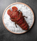 Live Indonesian Red Slipper Lobster | Live & Seasonal Shellfish | Avant Seafood Marketplace Singapore 