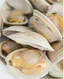 Live Milk Clam | Live & Seasonal Seafood | Avant Marketplace Singapore 活美国红蛤贝