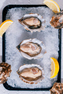 Live USA Oysters (Seasonal) - Live Seafood Singapore - Avant Seafood Market