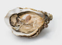 Muirgen Oysters (Live) (Irish Origin, French Finished Spéciale) - Live Oysters Singapore - Avant Marketplace