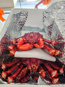 New Zealand Spider Crab - Avant Marketplace Singapore