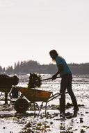 Oyster Farming - Fanny Bay Canadian Oysters in Singapore - Avant Marketplace