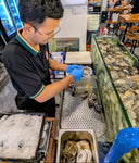 The Oyster Primer: Foundational Tasting Workshop | Avant Marketplace