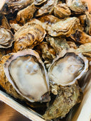 Shigoku Oysters from US - Live & Fresh Oysters in Singapore - Avant Marketplace