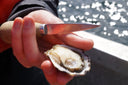 Sunseeker - Fanny Bay Oysters - Canadian Oysters in Singapore - Avant Marketplace