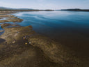 Sustainable Oyster Farm - Fanny Bay Oyster Farm - Canadian Oysters in Singapore - Avant Marketplace