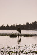 Sustainable Tideline Farming for Fanny Bay Oysters - Avant Oyster Marketplace Singapore