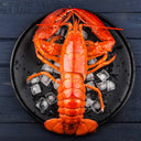 USA Live Frozen Cooked Boston Lobster  | Avant Seafood Marketplace