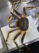 🦀 Rare Arrival: Alaskan Blue King Crab (2.2–2.8kg)