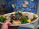4-Origin Abalone Bundle