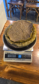 ABAGOLD South African Live Abalone (Seasonal)