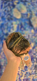 Yang Cheng Lake Hairy Crab