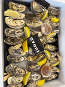 高级活海鲜火锅套餐（5人）