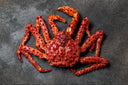 Alaskan King Crab (Limited Time Promo)