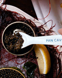 Oyster, Caviar & Uni Celebration | Salt Works Oysters with Caviar | Avant Fine Foods Market Place Singapore