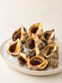 Red Whelk with ridged tan-brown shells and dark reddish-brown opercula, presented on crushed ice in an ivory platter.
