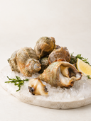 Sea Whelk shellfish presented on a pale stone platter with crushed ice in a clean, premium seafood setting.