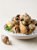 Sea Whelk shells arranged on crushed ice in an ivory ceramic platter with restrained fresh garnish.