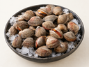 Blood Clams / Blood Cockles | Distinctive Ribbed Shells | Avant Seafood Market Singapore
