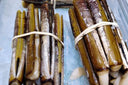 Large Bamboo Razor Clams | Avant Seafood Market Singapore
