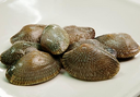 Fujian Flower Clams Lala | Live Clams | Avant Seafood Market Singapore