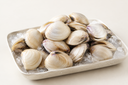 White Hard Clams | Live Clams | Avant Seafood Market Singapore