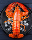Whole cooked Boston lobster on ice, ready to serve, lobster delivery Singapore