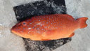 Live Philippines Red Grouper 东星斑 (800g-1kg) ( Seasonal )