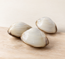 Live Shirogai Clams | Hokkaido | Avant Seafood Market