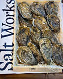Oyster party pack for 10: box of live Salt Works oysters, oyster delivery Singapore