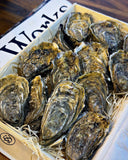 Oyster party pack for 20: box of live Salt Works oysters, oyster delivery Singapore