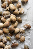 Manila Clams - Live Clams - Avant Seafood Marketplace Singapore