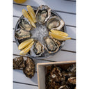 Marennes-Oléron N°4 French Oyster | Product Reference Photo | Avant Seafood Market