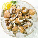 Sea Whelk | Live Shellfish | Avant Fine Foods Market Place Singapore